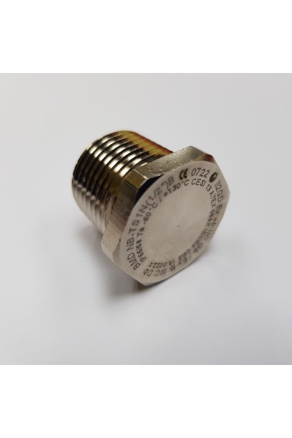 BIMED Exe Hex Head Brass Nickel Plated Stopping Plug, 1